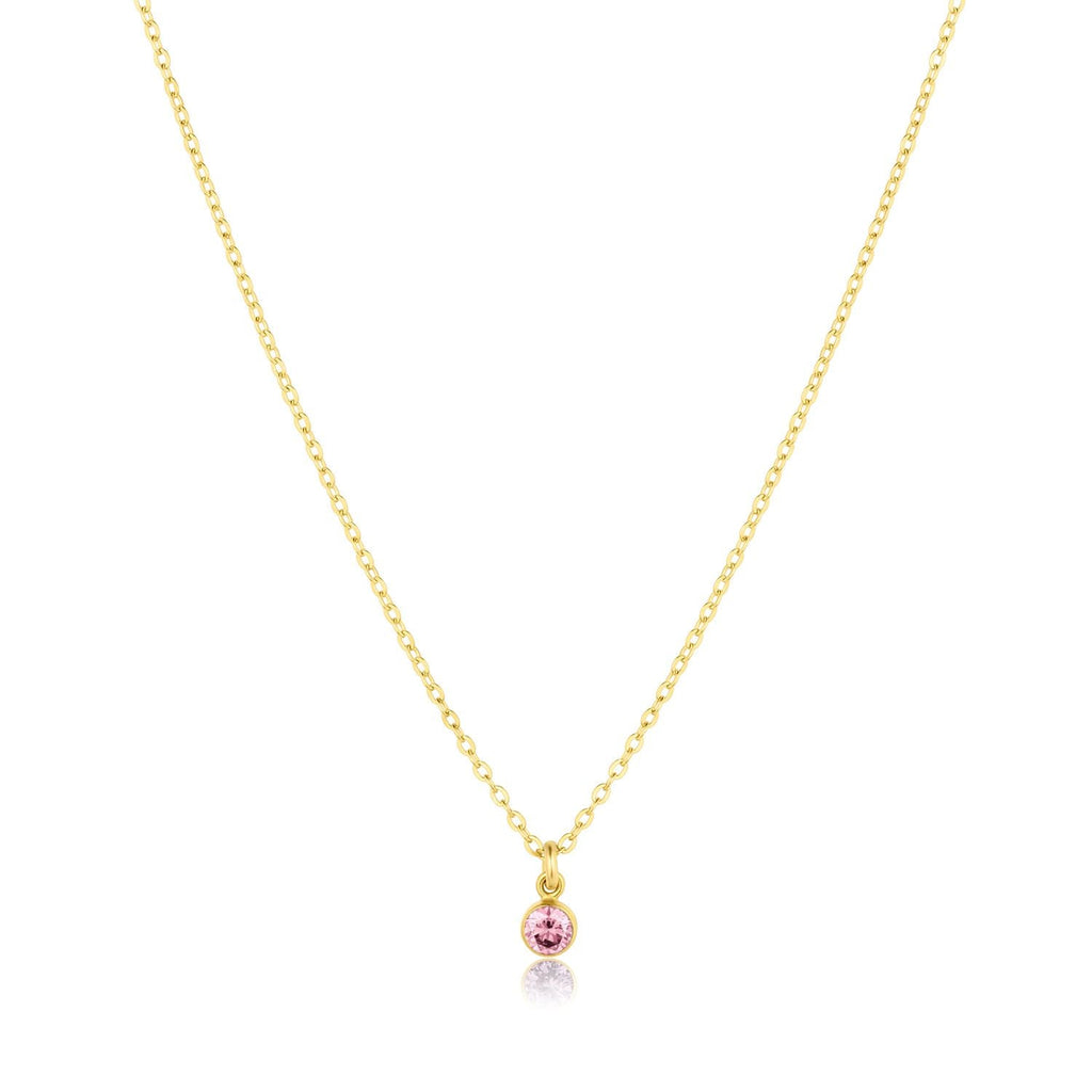 Birthstone Charm Necklace - Granted Quality 