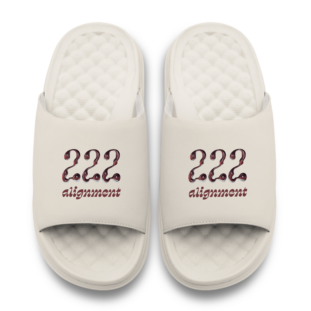 222 Angel Number Motive