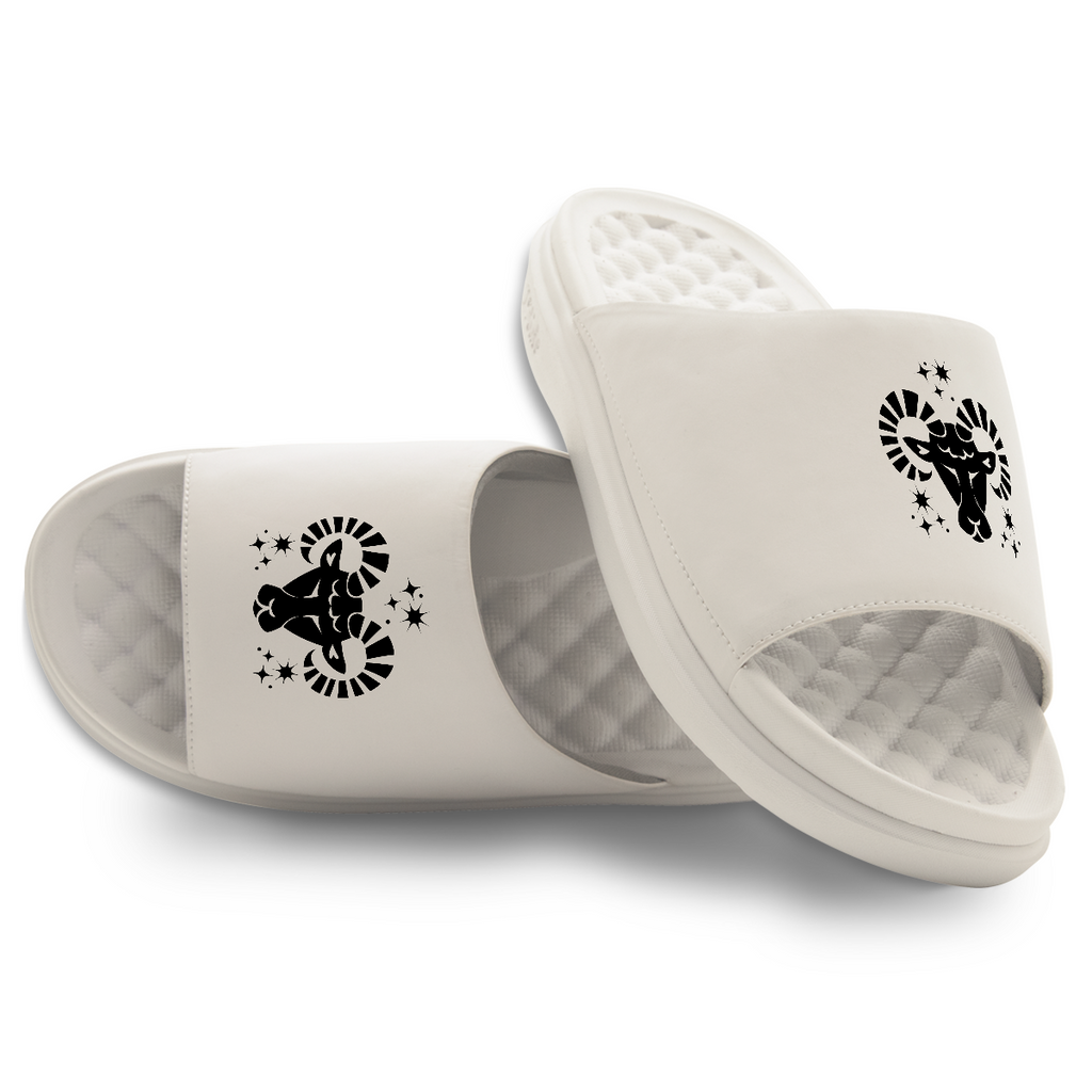 Aries Zodiac Symbols Motive