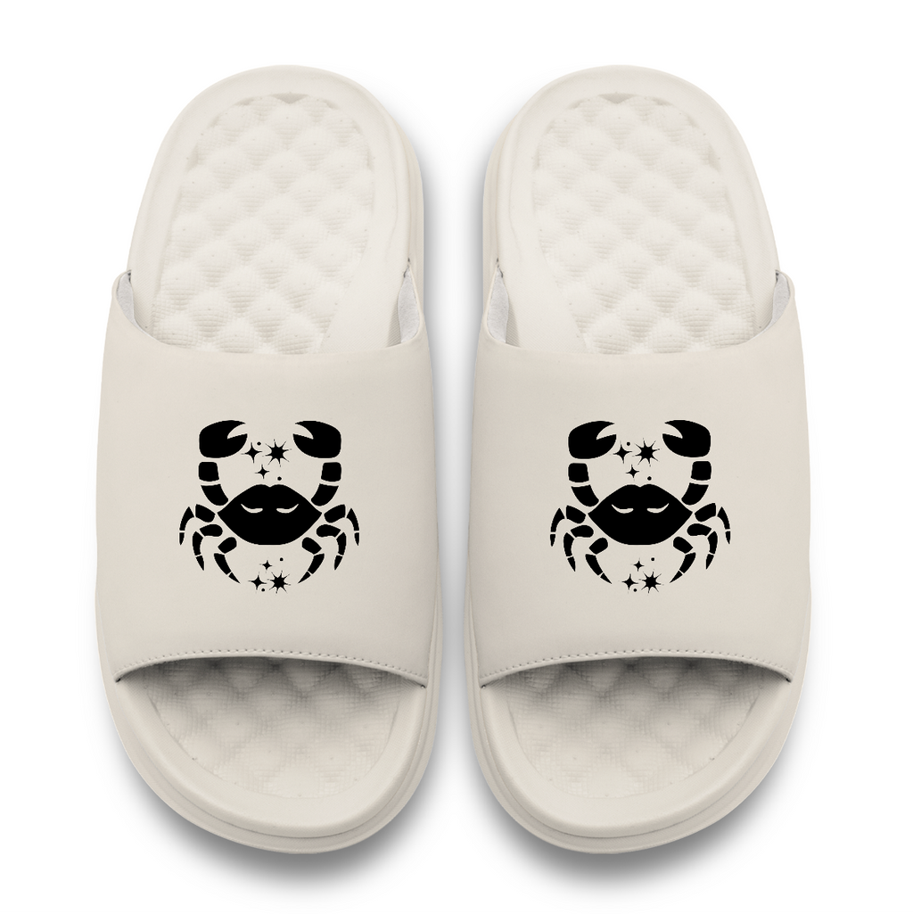 Motivo de los símbolos del zodiaco Cáncer